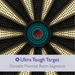 Fat Cat 727 Electronic Dartboard tough target materials graphic