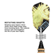 Viper Spinning Bee Soft Tip Darts 16 Grams-Darts-GLD Products-Black-Game Room Shop