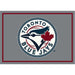 MLB Spirit Rug (Various Teams)-Game Room Shop-4x6-NEW YORK YANKEES-Game Room Shop